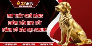 Mơ Thấy Chó Vàng: Điềm Xấu Hay Tốt, Đánh Số Nào Tại 33win?