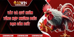 Vảy gà quý hiếm tổng hợp những điều bạn cần biết